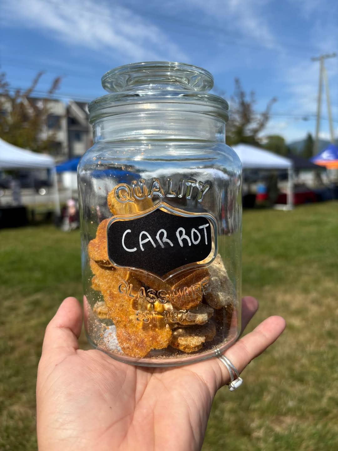 Carrot and PB coolies